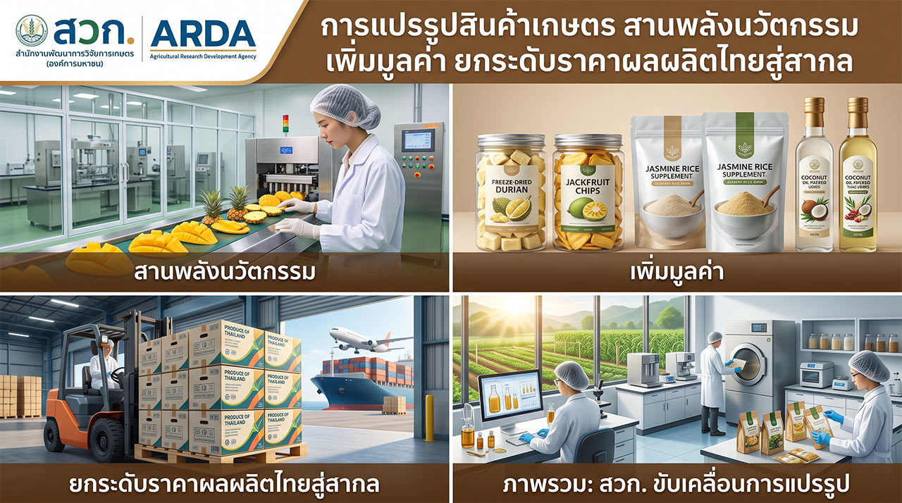 การแปรรูปสินค้าเกษตร สานพลังนวัตกรรม เพิ่มมูลค่า ยกระดับราคาผลผลิตไทยสู่สากล