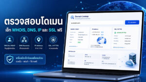 ภาพเครื่องมือตรวจสอบโดเมนฟรี แสดงข้อมูล WHOIS, DNS Records, IP Address และ SSL HTTPS