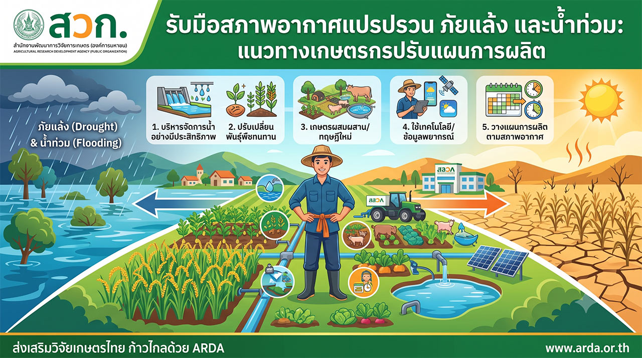 เกษตรกรชายสวมเสื้อสีน้ำเงินและหมวกยืนอยู่ในเรือไม้เล็กบนคลองน้ำที่ท่วมขัง ล้อมรอบด้วยแปลงผักยกพื้นสีเขียวที่จมอยู่ในน้ำโคลน มีสถานีตรวจวัดระดับน้ำและสภาพอากาศ กระท่อมอุปกรณ์ หมู่บ้านและภูเขาอยู่เบื้องหลัง แสดงถึงการปรับตัวของเกษตรกรไทยต่อปัญหาน้ำท่วม